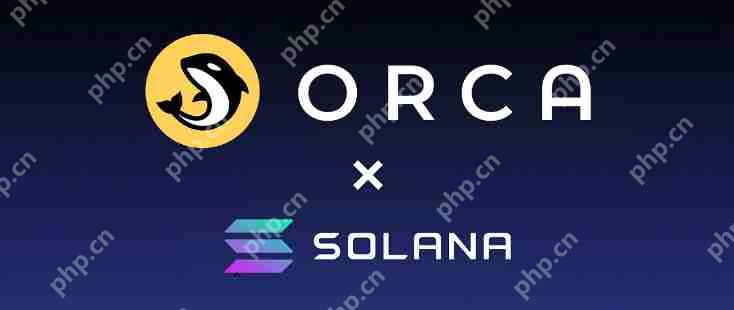 2025年五大最受欢迎的Solana去中心化交易所：Orca、Meteora、CLMM